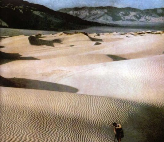 Pia Pizzo / Terry Braunstein Pia Pizzo / Terry Braunstein