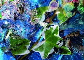 Piero Gilardi – Interdipendenze Piero Gilardi – Interdipendenze