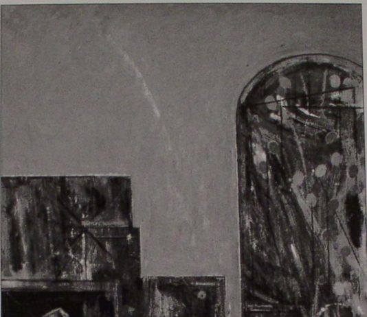 Pino Reggiani – Campi del Nord