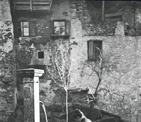 Professione: Donna. 1860-1955