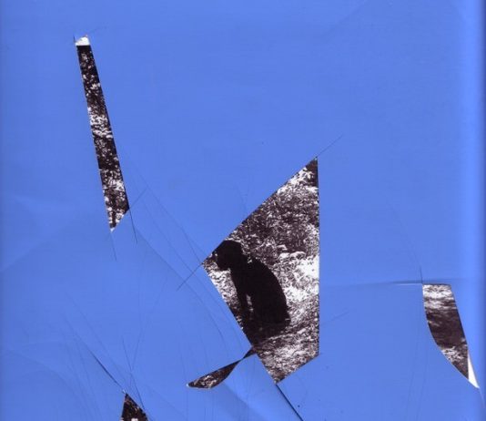 Richard Aldrich + Paul-Aymar Mourgue d’Algue