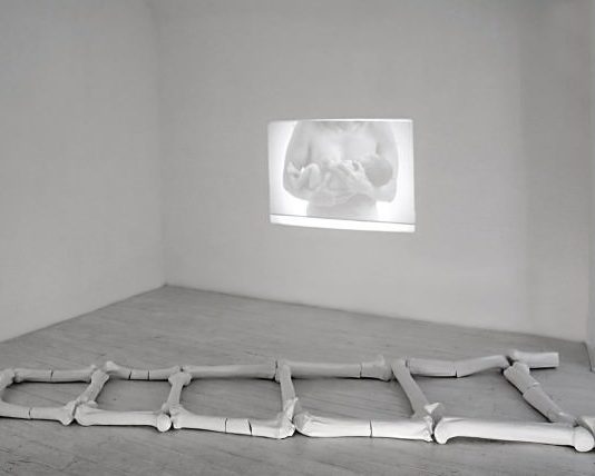 Rocco Dubbini – L’oggetto apparente aliena la prospettiva del tempo visivo manifestando la propria immagine in evoluzioni non identificate