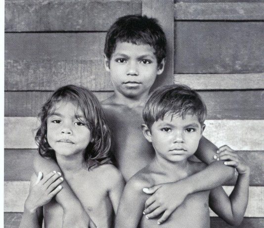 Salvino Campos – Brasil de Carne e Osso Salvino Campos – Brasil de Carne e Osso