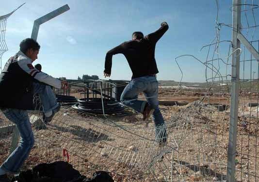 Sguardi Incrociati Sguardi Incrociati