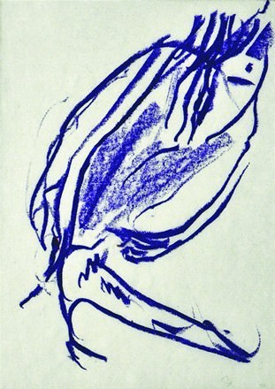 Sigrid Lachnitt – Linea