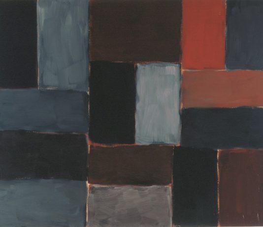Soltanto un quadro al massimo: Domenico Bianchi / Sean Scully