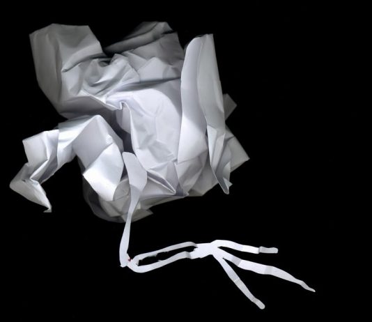 Stefano Arienti / Giovanni Ferrario – La danza delle polveri Stefano Arienti / Giovanni Ferrario – La danza delle polveri