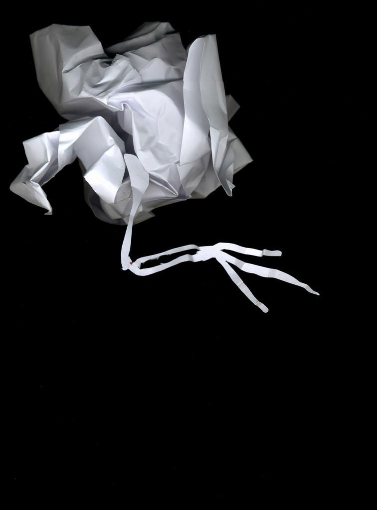 Stefano Arienti / Giovanni Ferrario – La danza delle polverihttps://www.exibart.com/repository/media/eventi/2005/09/stefano-arienti-giovanni-ferrario-8211-la-danza-delle-polveri.jpg