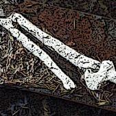 Tommaso Melideo – Origini instabili