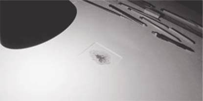 Ugo Simeone – Matrice Ugo Simeone – Matrice