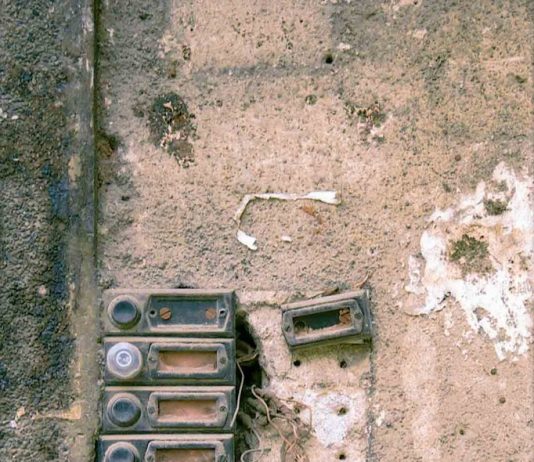 Youliana Manoleva – Sonnerie