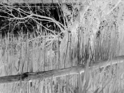 Abitanti Ambienti 2008