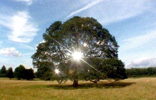 Adrian Paci – Per Speculum