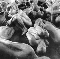 Antony Gormley – Critical Mass