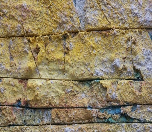 Assolo d’autore – Marco Casolo