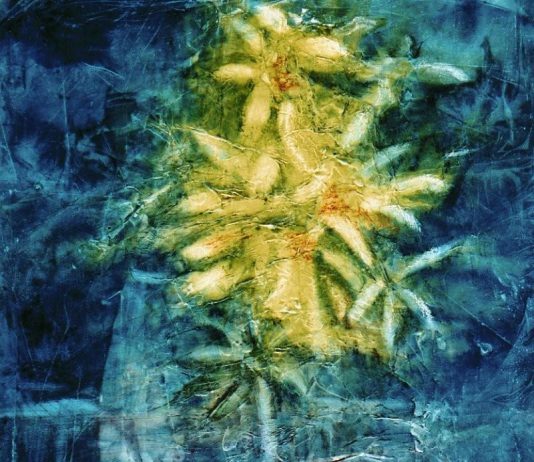 Assolo d’autore – Paola Di Renzo