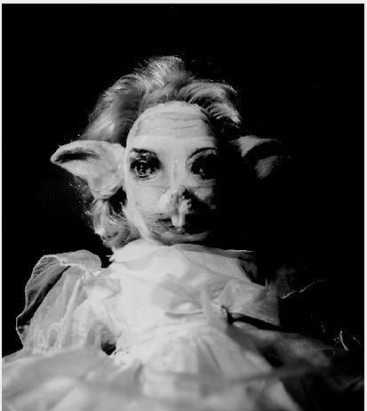 Barbara La Ragione – Lost