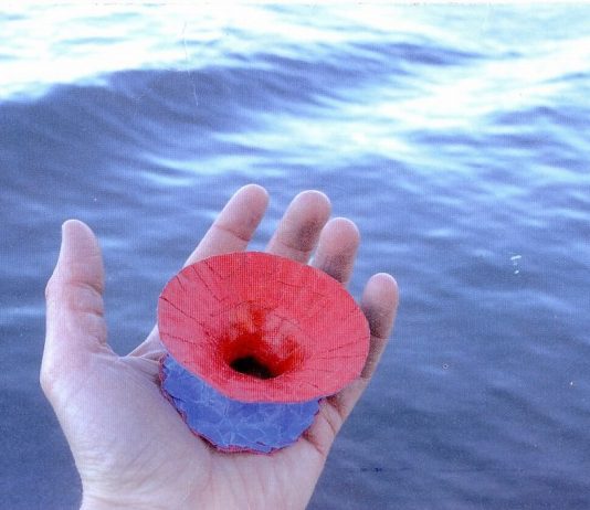 Barbara Wiggli – Scivolò nel mare a primavera Barbara Wiggli – Scivolò nel mare a primavera