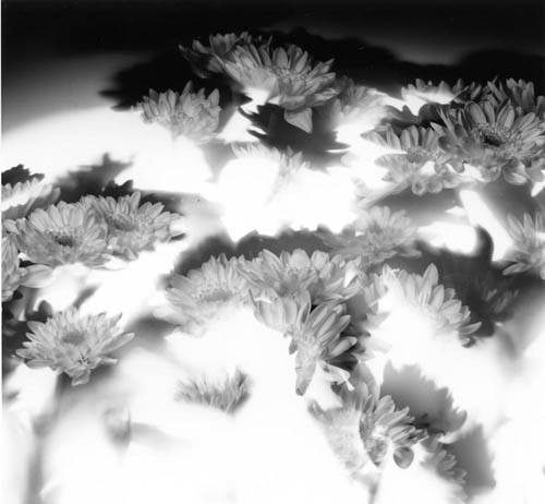 Bruno Nardini – L’orlo estremo