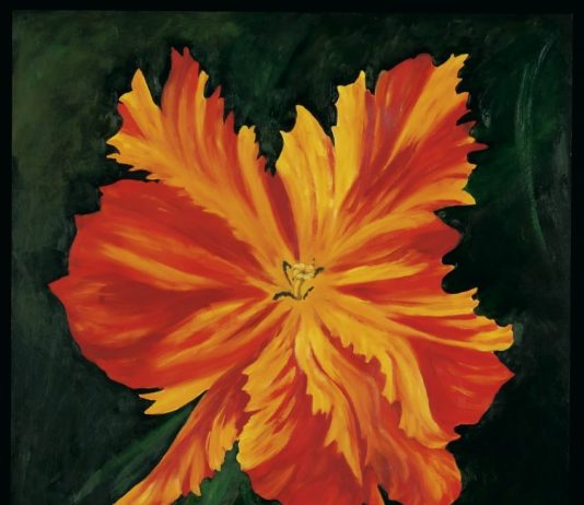 Carla Ballario Casabassa / Lucetta Ballario Mauri – Immagini di emozioni