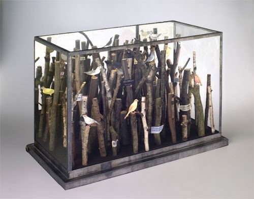 Chiara Passigli – Wunder-Box