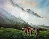 Cristiana Reiter – Osservando la natura Cristiana Reiter – Osservando la natura