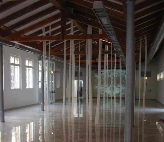 Dacia Manto Dacia Manto