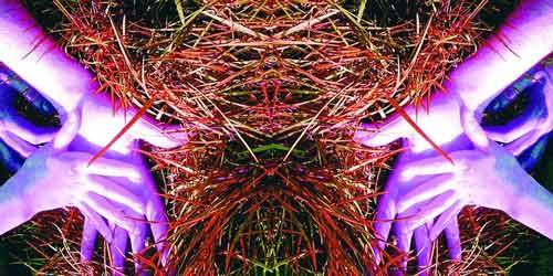 Daniela Cavallo – Speculazioni