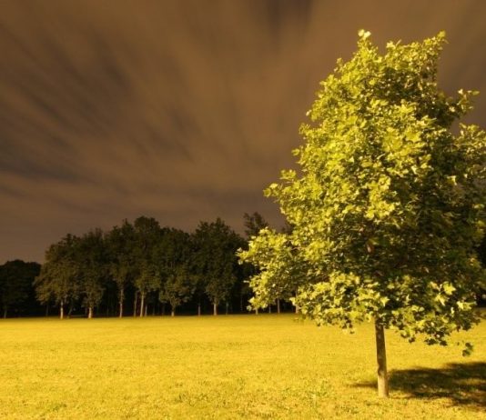 Daniele Faverzani – Trenno. Il parco delle lune elettriche
