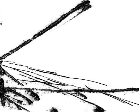 Dante Maffei – Scatti contro