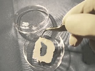 Dario Neira – John 1,14 Project