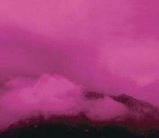 Davide Coltro – Medium color-landscapes