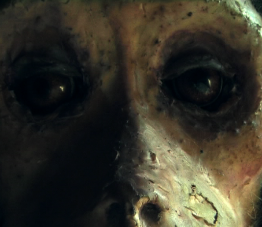 Desco Music/Waiting Room – Martijn Tellinga / ericailcane