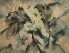 Dino Lanaro Dino Lanaro