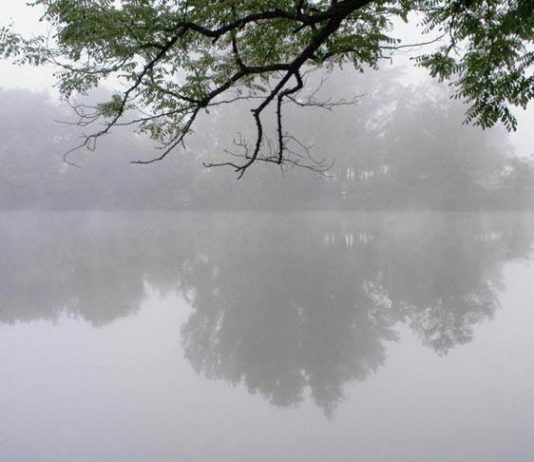 Dominique Laugé – Il Cielo e la Terra