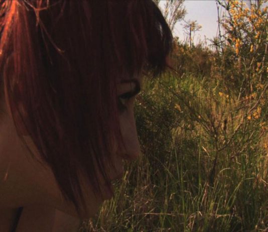 Eleonora Chiesa – W017/2007. Mind_Scapes*