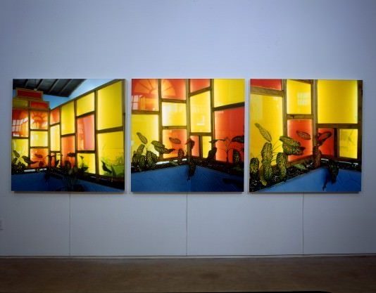 Elisa Sighicelli – Phi