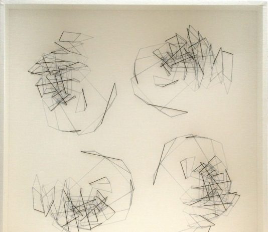 Emanuela Fiorelli – Caosmo