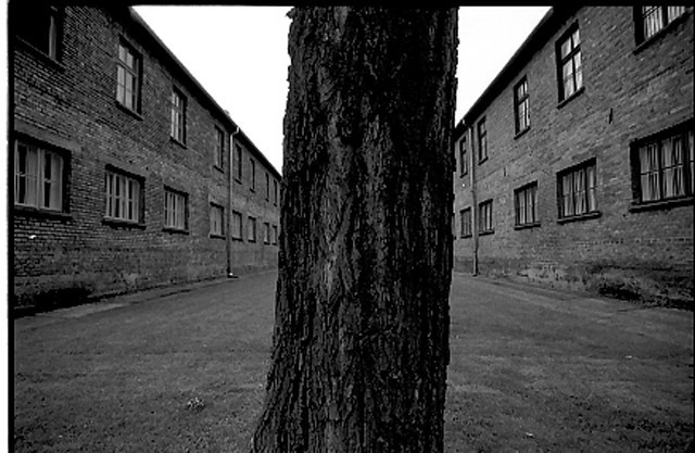 Emilio D’Itri – I campi del dolorehttps://www.exibart.com/repository/media/eventi/2005/10/emilio-d8217itri-8211-i-campi-del-dolore.jpg