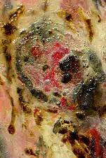 Ermenegildo Atzori – Shimmering substance Ermenegildo Atzori – Shimmering substance