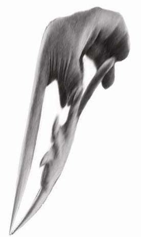 Festarte ’05 – Elastique