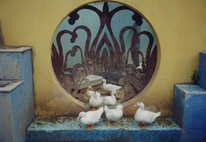 Francesco Lauretta – Non saremo noi