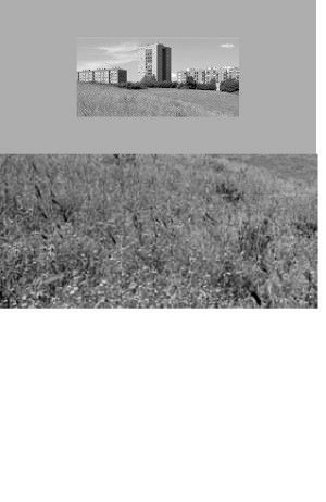 Franco Mapelli – Il grande margine. Paesaggio e nuove periferie