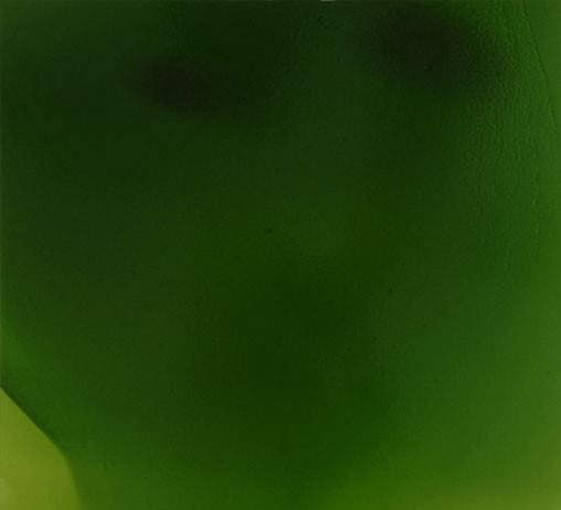 Franco Pozzi – Vegeto