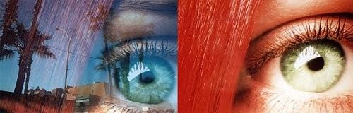 Fulvio Bortolozzo – Duplex Fulvio Bortolozzo – Duplex