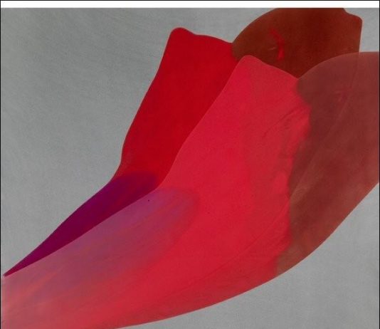 Giorgio Vicentini – Colore crudo