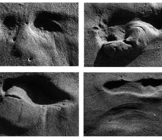 Giovanni Liberatore – Antropomorphisme s/r mer