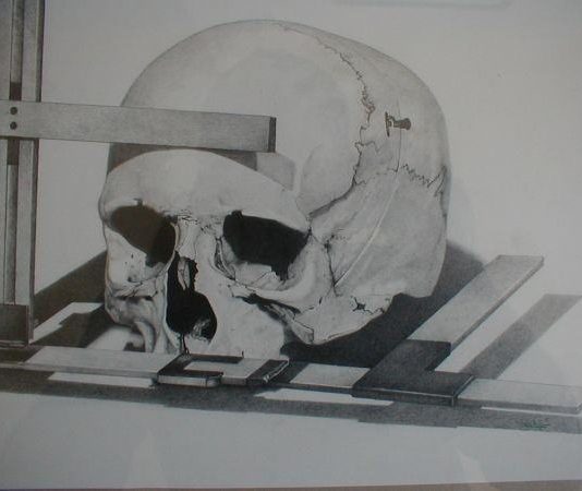 Giuseppe Mazzi – Karta Bianca Giuseppe Mazzi – Karta Bianca