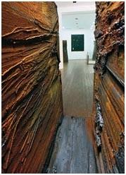 Giuseppe Spagnulo – Cantico