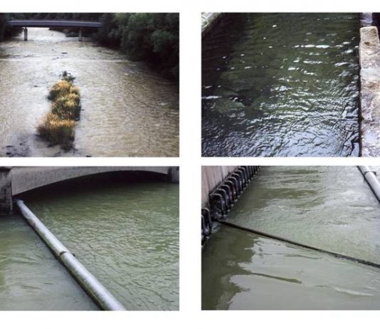 Graziella Reggio – Da fonte di acqua bruna